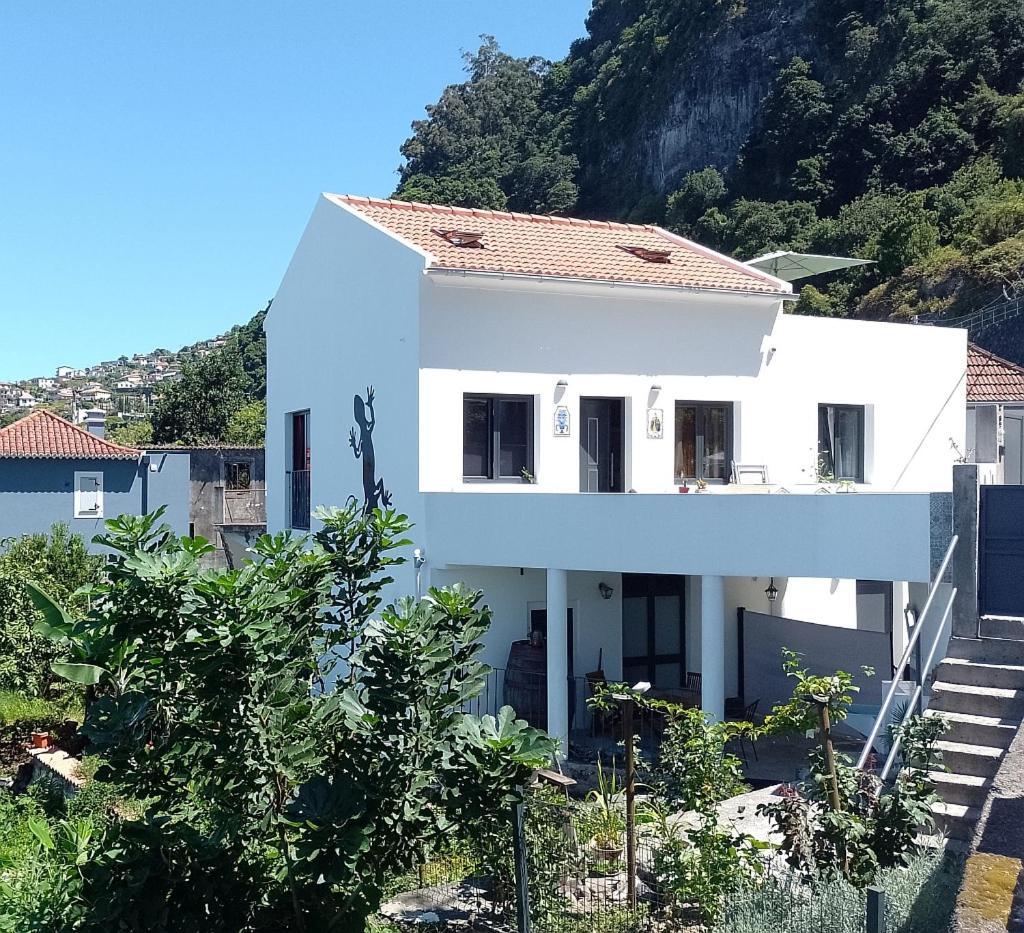 Apartament Lazy Lizard By The Ocean Seixal  Zewnętrze zdjęcie